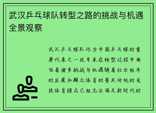 武汉乒乓球队转型之路的挑战与机遇全景观察